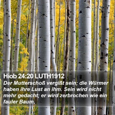 Hiob 24:20 LUTH1912 Bible Verse Image