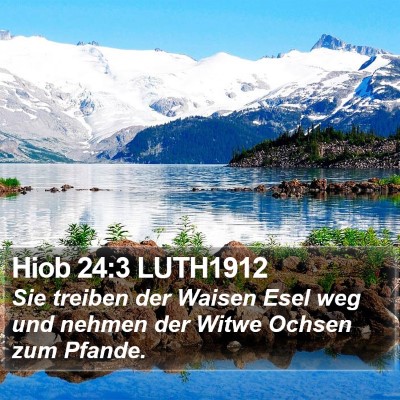 Hiob 24:3 LUTH1912 Bible Verse Image