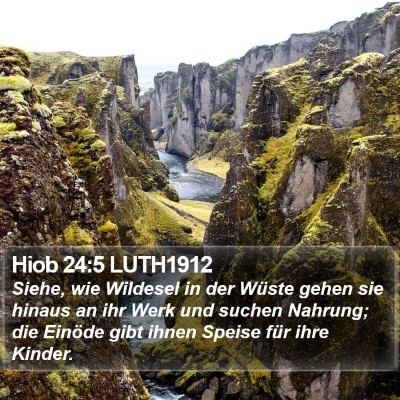 Hiob 24:5 LUTH1912 Bible Verse Image