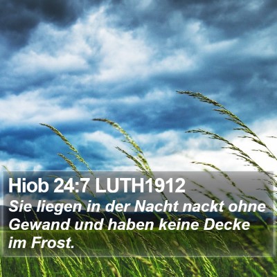 Hiob 24:7 LUTH1912 Bible Verse Image