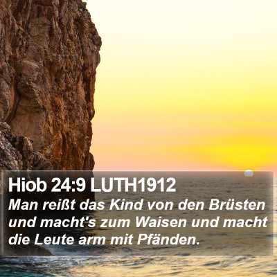 Hiob 24:9 LUTH1912 Bible Verse Image