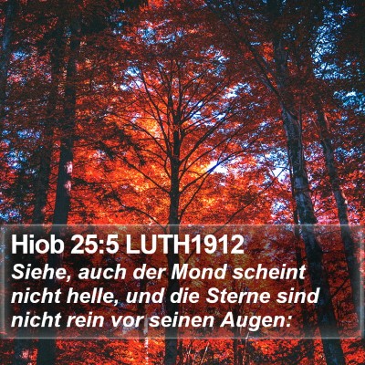 Hiob 25:5 LUTH1912 Bible Verse Image