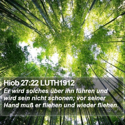 Hiob 27:22 LUTH1912 Bible Verse Image