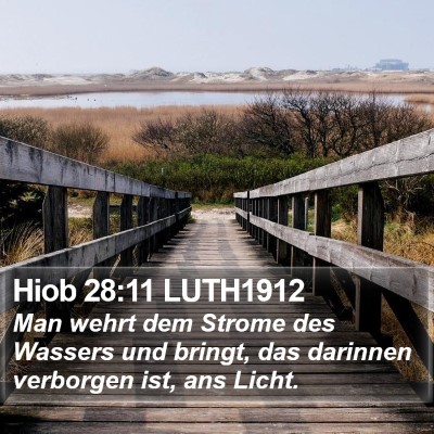 Hiob 28:11 LUTH1912 Bible Verse Image