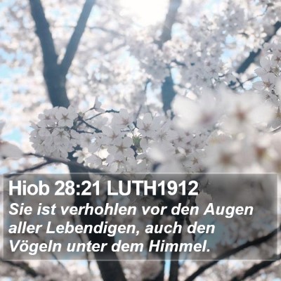 Hiob 28:21 LUTH1912 Bible Verse Image