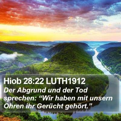Hiob 28:22 LUTH1912 Bible Verse Image