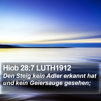 Hiob 28:7 LUTH1912 Bible Verse Image