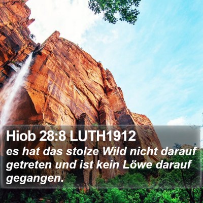 Hiob 28:8 LUTH1912 Bible Verse Image