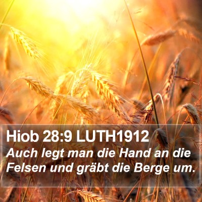 Hiob 28:9 LUTH1912 Bible Verse Image