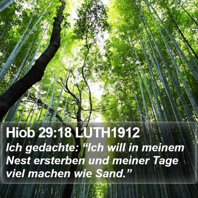 Hiob 29:18 LUTH1912 Bible Verse Image