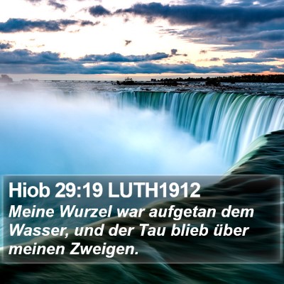 Hiob 29:19 LUTH1912 Bible Verse Image