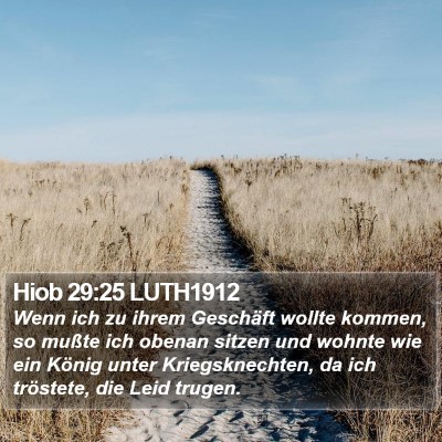 Hiob 29:25 LUTH1912 Bible Verse Image