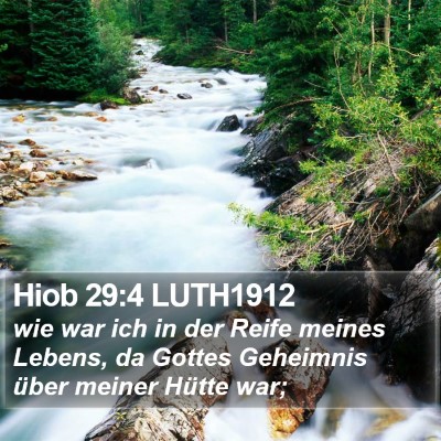 Hiob 29:4 LUTH1912 Bible Verse Image