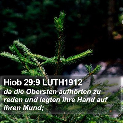 Hiob 29:9 LUTH1912 Bible Verse Image