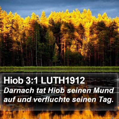 Hiob 3:1 LUTH1912 Bible Verse Image