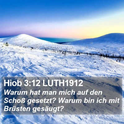 Hiob 3:12 LUTH1912 Bible Verse Image