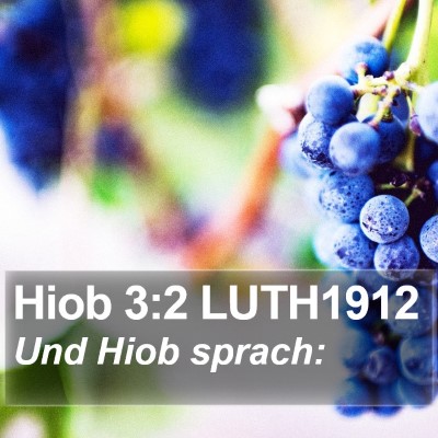 Hiob 3:2 LUTH1912 Bible Verse Image
