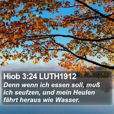 Hiob 3:24 LUTH1912 Bible Verse Image