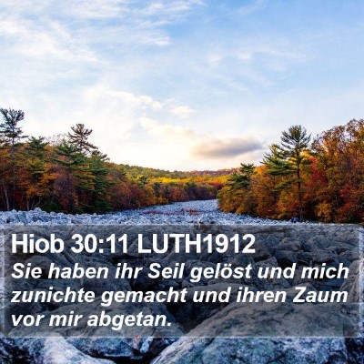 Hiob 30:11 LUTH1912 Bible Verse Image