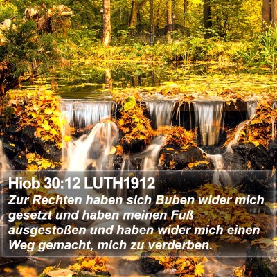 Hiob 30:12 LUTH1912 Bible Verse Image