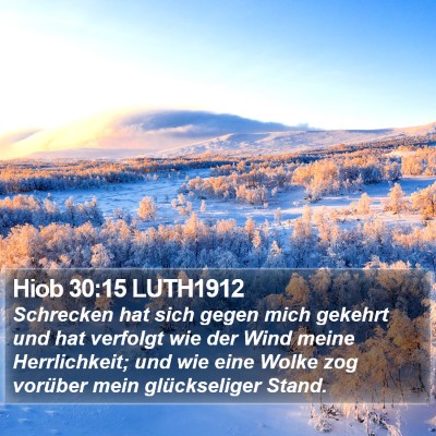 Hiob 30:15 LUTH1912 Bible Verse Image