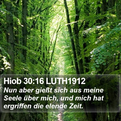 Hiob 30:16 LUTH1912 Bible Verse Image