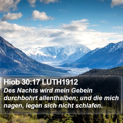 Hiob 30:17 LUTH1912 Bible Verse Image