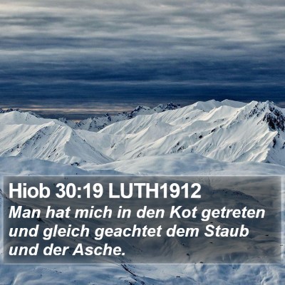 Hiob 30:19 LUTH1912 Bible Verse Image