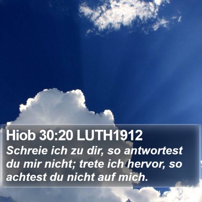 Hiob 30:20 LUTH1912 Bible Verse Image