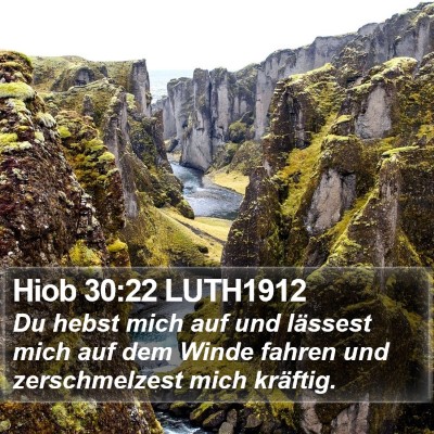 Hiob 30:22 LUTH1912 Bible Verse Image