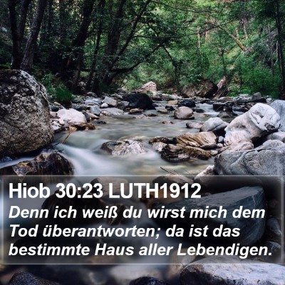 Hiob 30:23 LUTH1912 Bible Verse Image