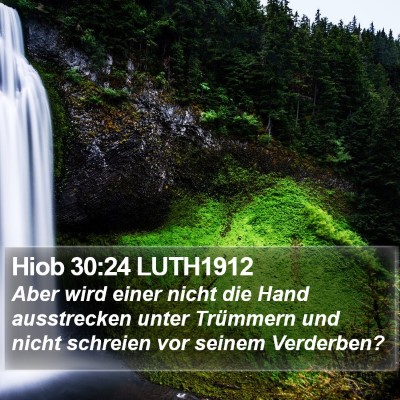 Hiob 30:24 LUTH1912 Bible Verse Image