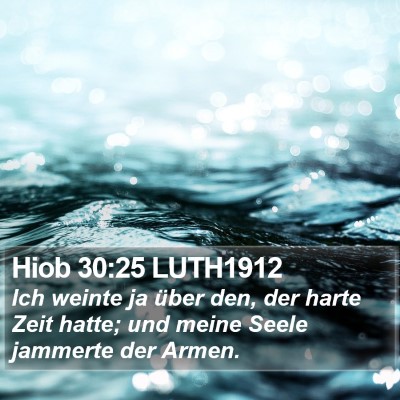 Hiob 30:25 LUTH1912 Bible Verse Image