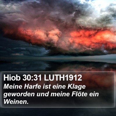 Hiob 30:31 LUTH1912 Bible Verse Image