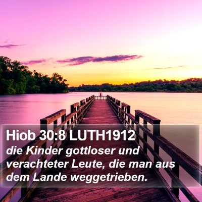 Hiob 30:8 LUTH1912 Bible Verse Image