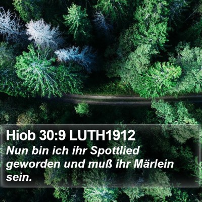 Hiob 30:9 LUTH1912 Bible Verse Image