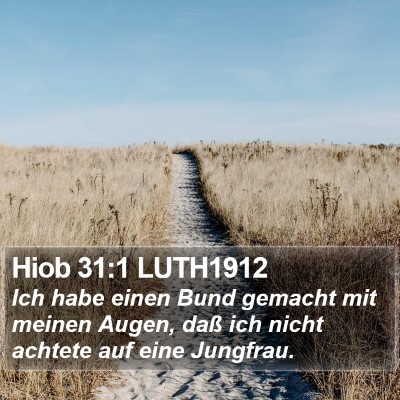 Hiob 31:1 LUTH1912 Bible Verse Image