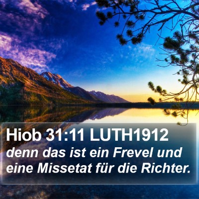 Hiob 31:11 LUTH1912 Bible Verse Image