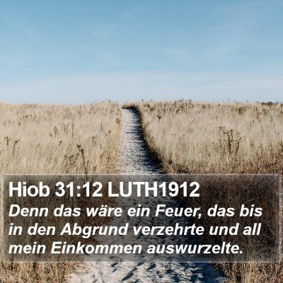 Hiob 31:12 LUTH1912 Bible Verse Image