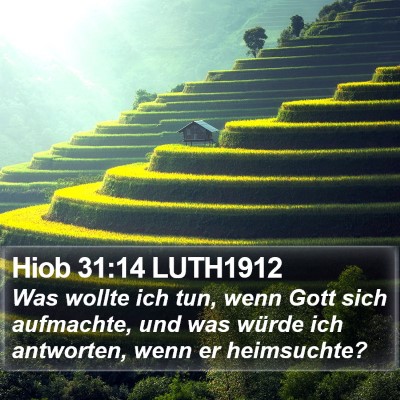 Hiob 31:14 LUTH1912 Bible Verse Image