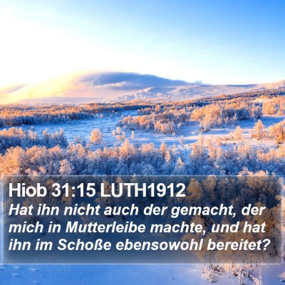 Hiob 31:15 LUTH1912 Bible Verse Image