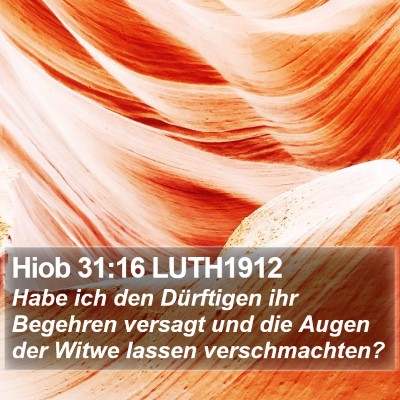 Hiob 31:16 LUTH1912 Bible Verse Image
