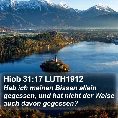Hiob 31:17 LUTH1912 Bible Verse Image