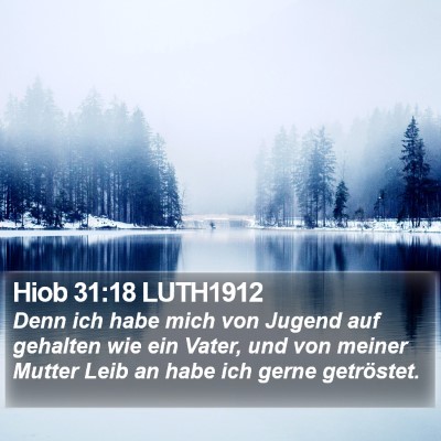 Hiob 31:18 LUTH1912 Bible Verse Image