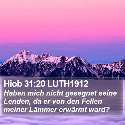 Hiob 31:20 LUTH1912 Bible Verse Image