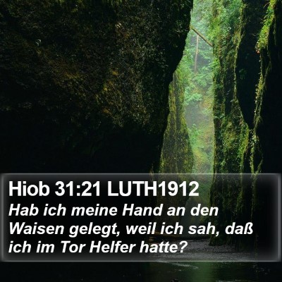 Hiob 31:21 LUTH1912 Bible Verse Image