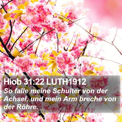 Hiob 31:22 LUTH1912 Bible Verse Image