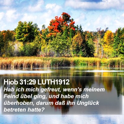 Hiob 31:29 LUTH1912 Bible Verse Image