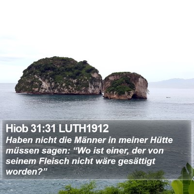 Hiob 31:31 LUTH1912 Bible Verse Image