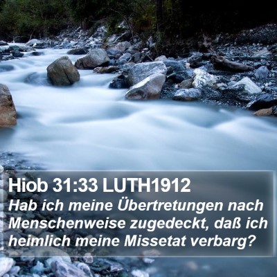 Hiob 31:33 LUTH1912 Bible Verse Image